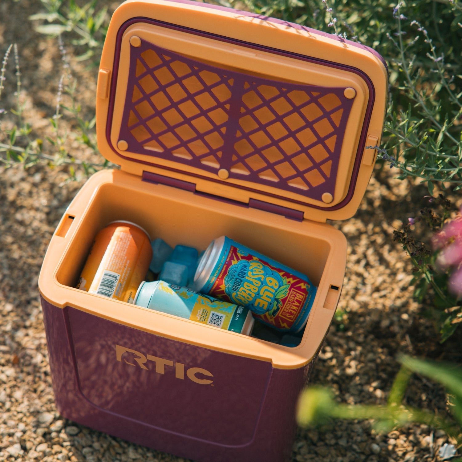 8 QT Road Trip Personal Cooler #003A7