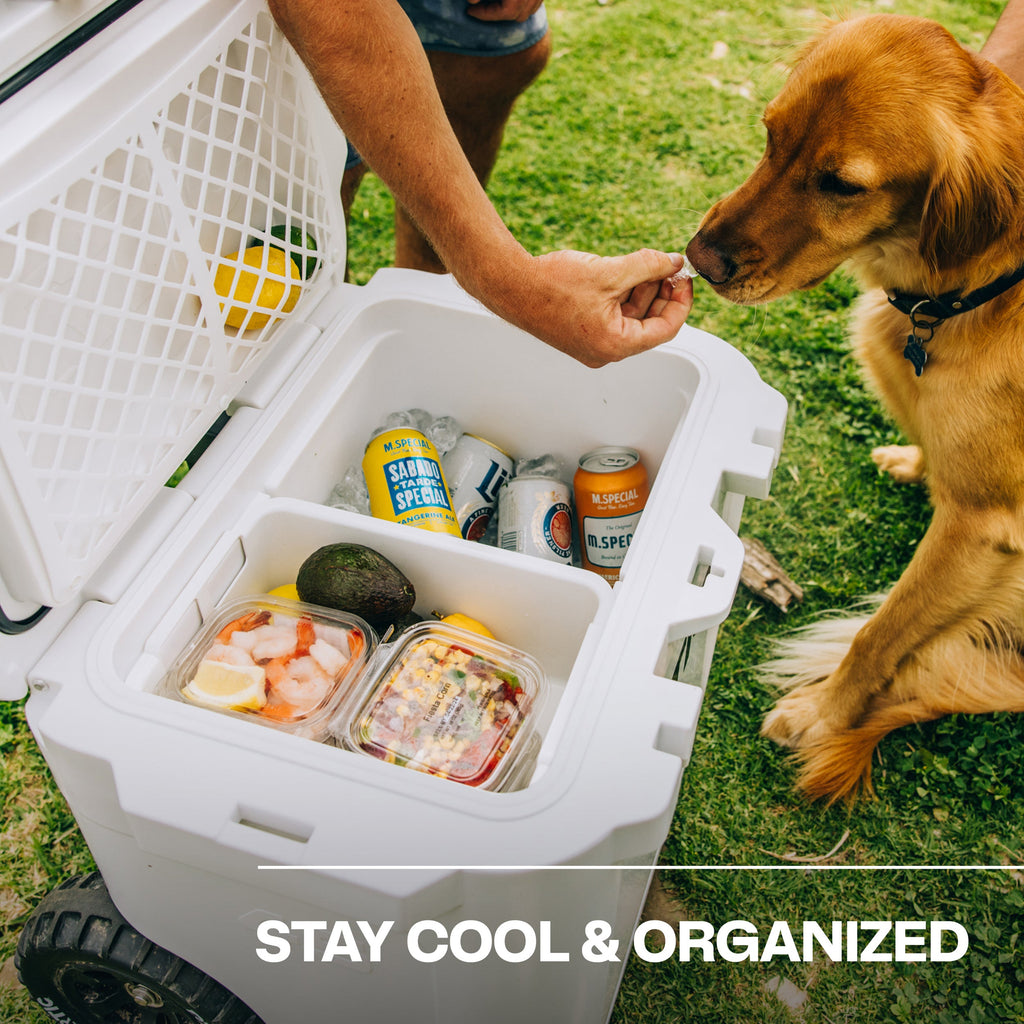 45 QT Ultra-Tough Wheeled Cooler #007L8